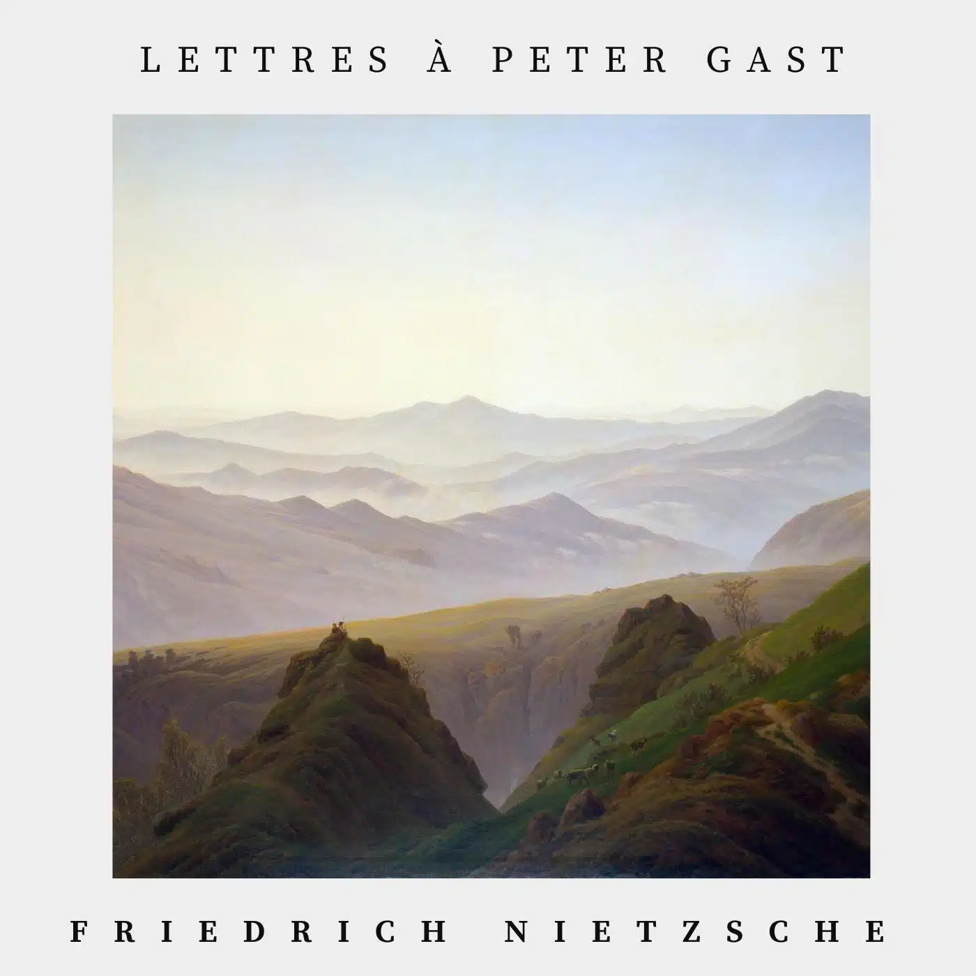 Lettres à Peter Gast - Friedrich Nietzsche