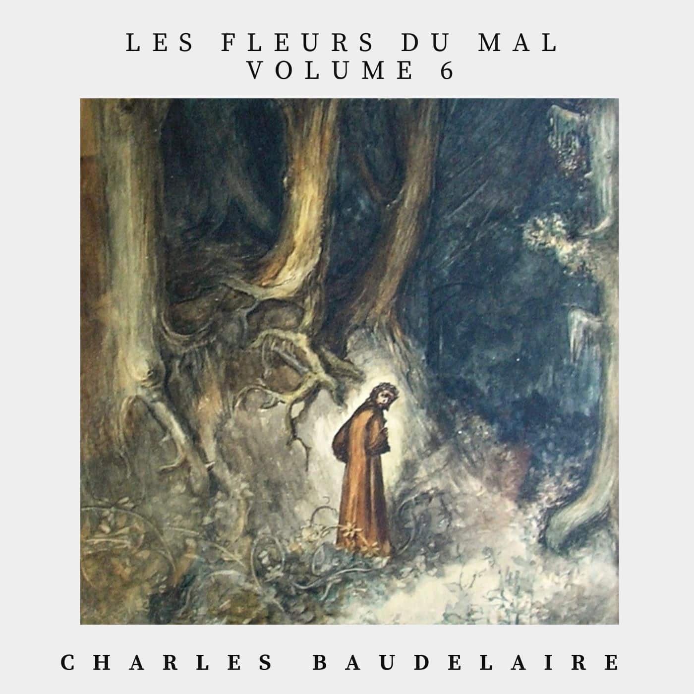 les fleurs du mal volume 6 - Charles Baudelaire