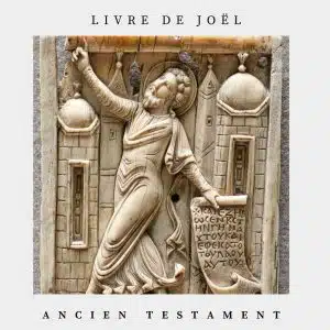 Couverture livre de joel