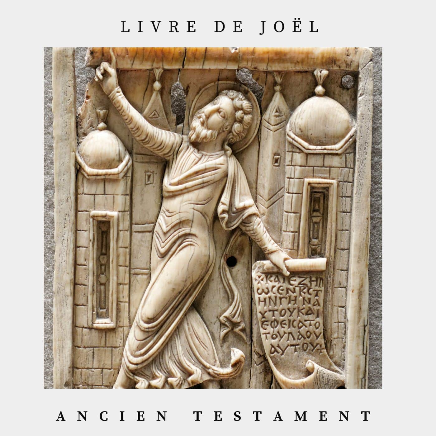 Couverture livre de joel