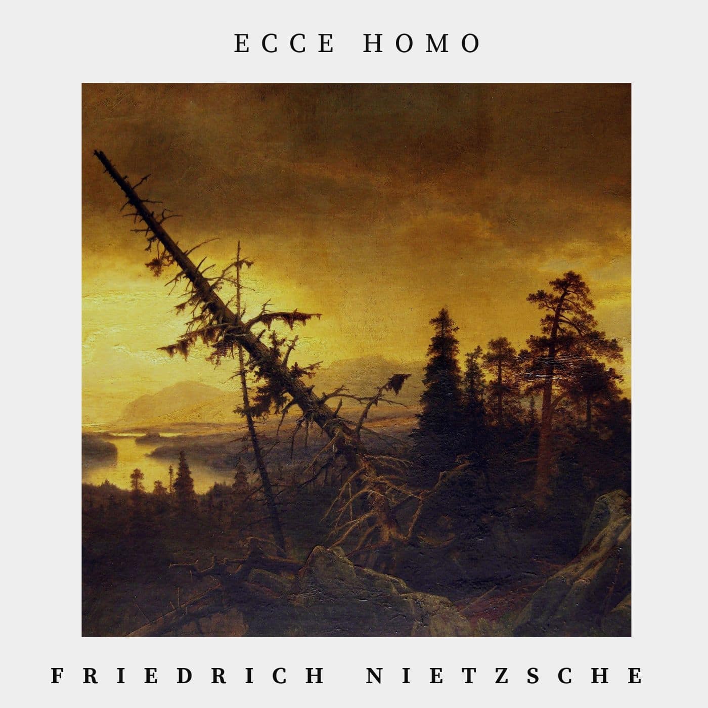 Ecce homo - Friedrich Nietzsche