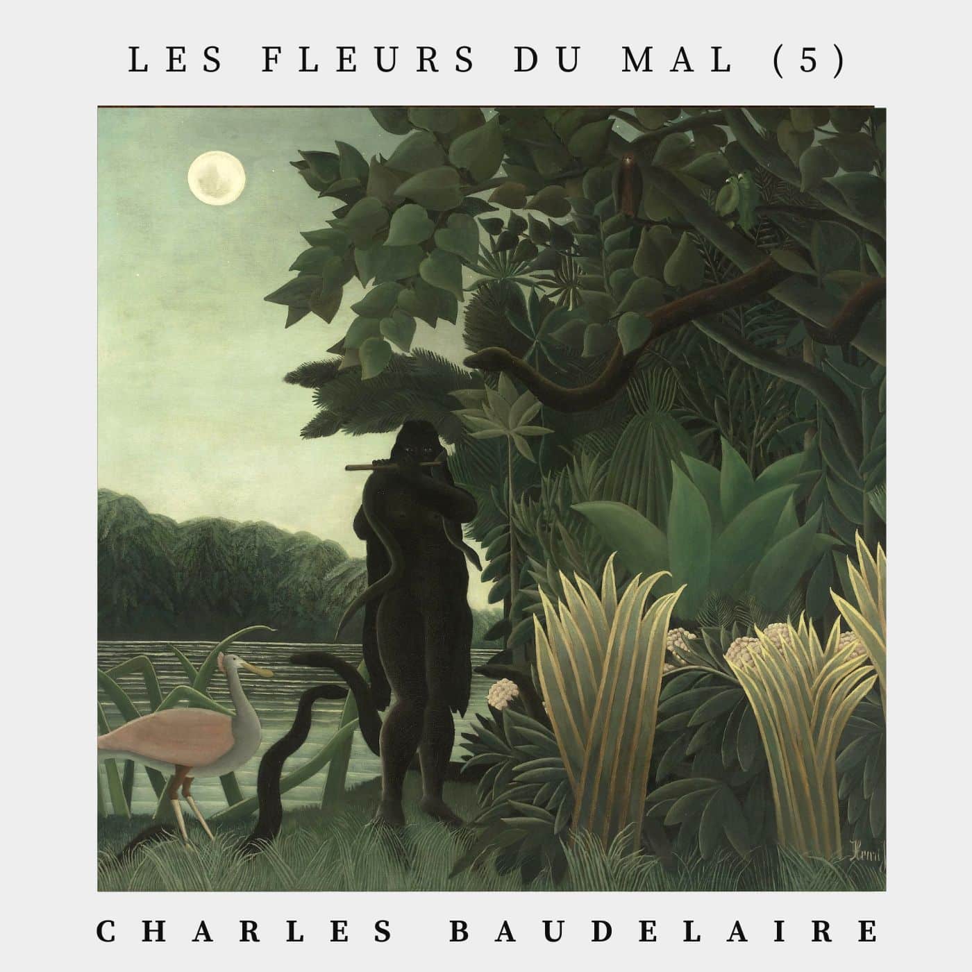 Les fleurs du Mal (5)