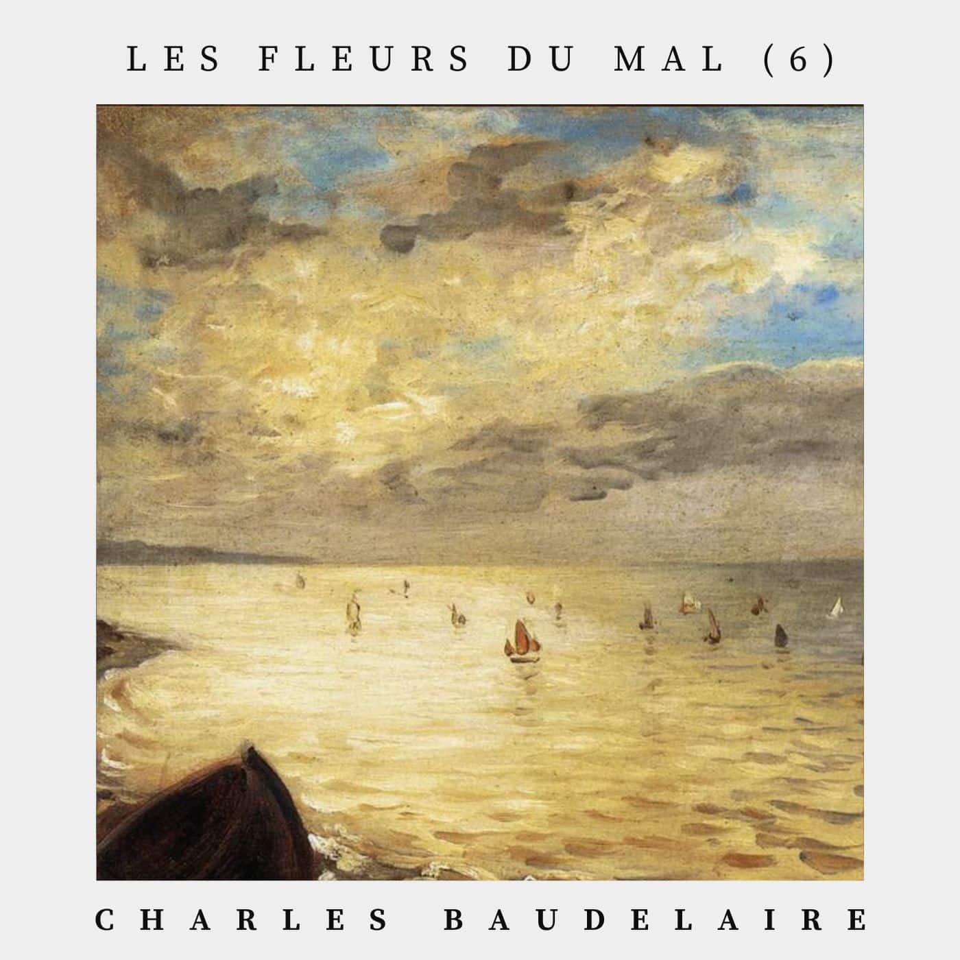 Les fleurs du Mal (6)